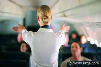 Flight attendants speak out about big passenger pet peeve