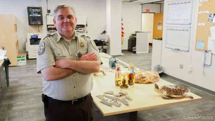‘Hey, this box stinks’: the weird work of intercepting trafficked wildlife in Alaska