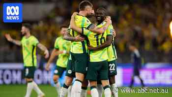 Four-time veterans to late bolters, here's your Socceroos pocket guide