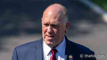Homan planning largest ICE deployment in New York City: 'It's coming'