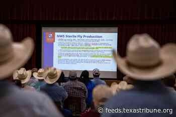 Three new cases of screwworm confirmed in Texas; A&M leader tasked as federal adviser