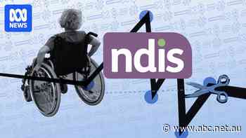 The most contentious parts of the NDIS bill being scrutinised today