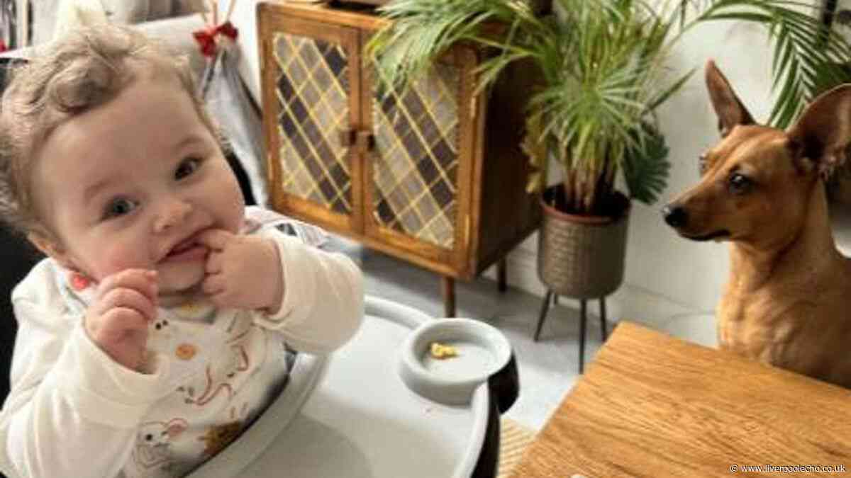 Baby 'left at mercy' of adoptive parents 'paid with his life', court told