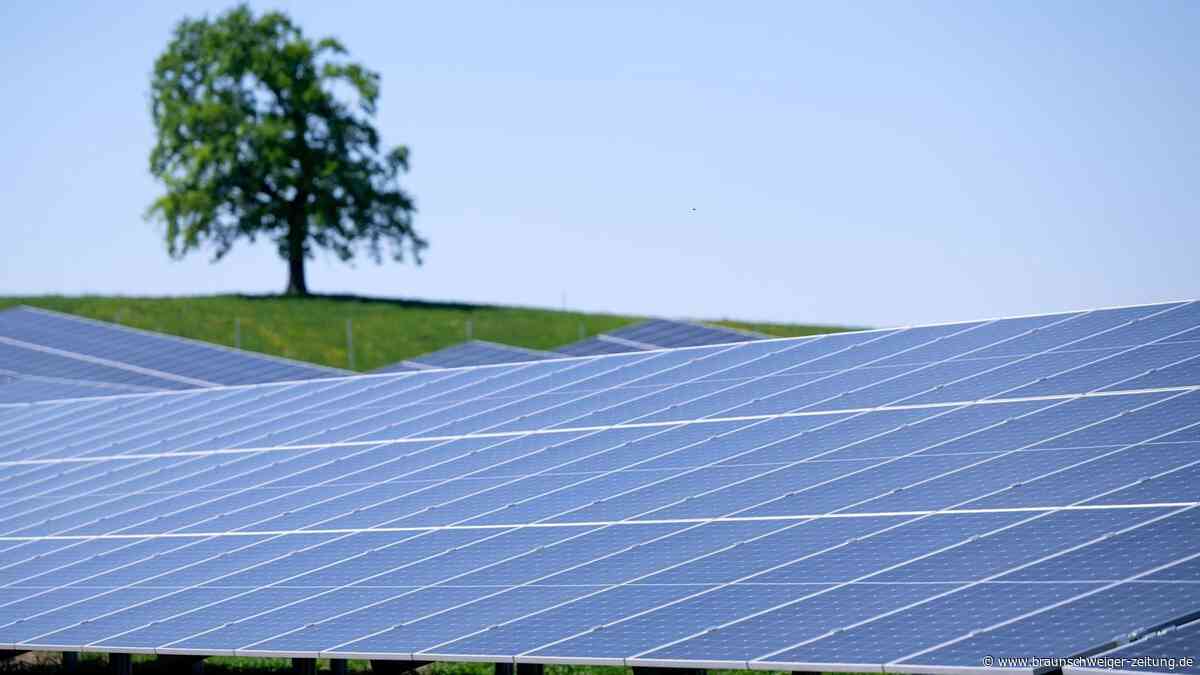 Umfrage: Kommunale Energieversorger setzen auf Batteriespeicher