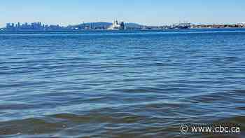 Quebec municipalities and environmentalists say province's water reserves are at risk