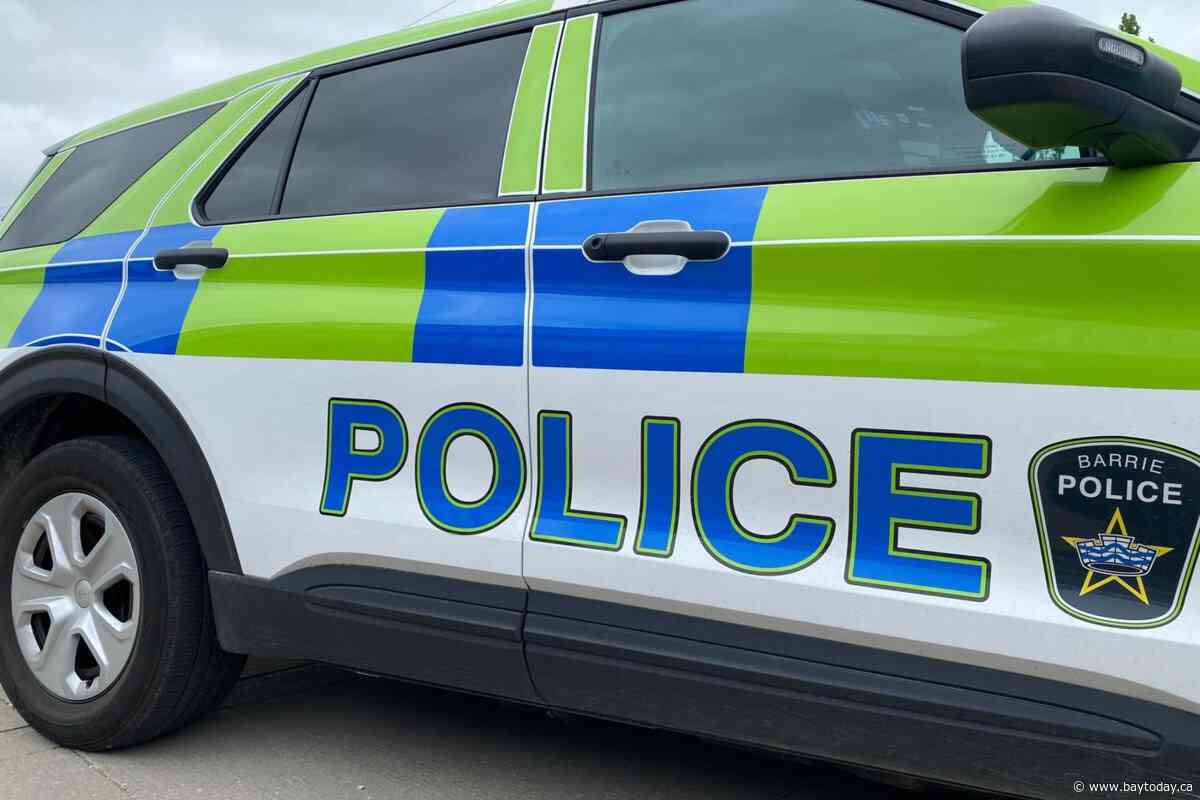 Police in Barrie, Ont., investigating after worker finds bones in park