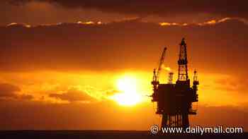North Sea can still fuel 20m cars to 2030, claim experts as Tories call for 'sheer lunacy' of UK Government over oil and gas to end