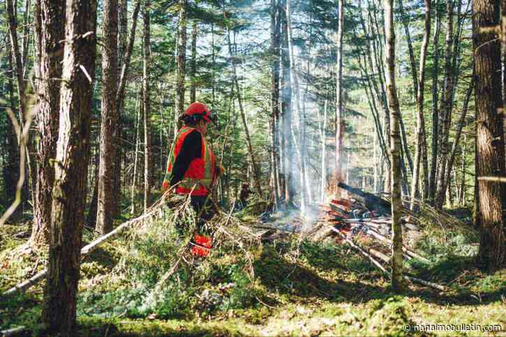 B.C. commits nearly $20 million on projects to reduce wildfire risk