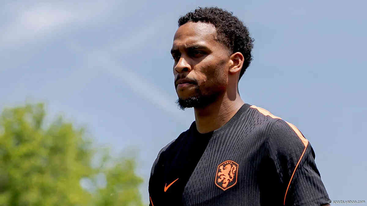 Netherlands' Timber out of World Cup with injury