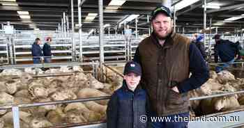 Cashing in on culls: mutton 'through the roof' as prices skyrocket