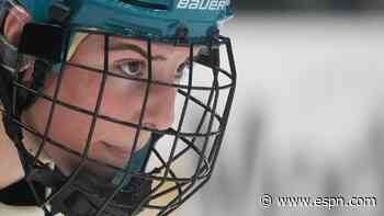 Report: Las Vegas trading Hilary Knight to Detroit...