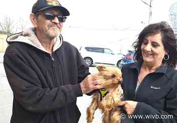 Judge orders apology, community service for veterinarian in Benji the dog scandal