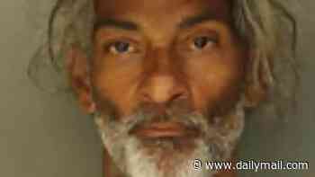 Deranged Penn Station stabber was freed from NJ jail just WEEKS before knifing five commuters who paid price for woke bail policies