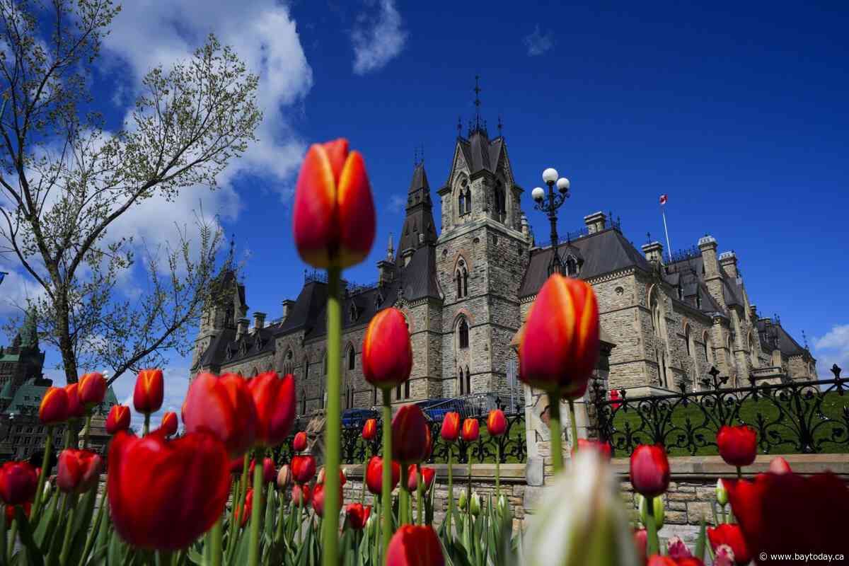 House of Commons passes bill criminalizing forced sterilization