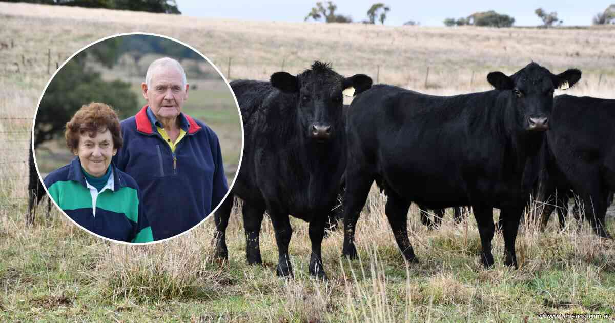 New chapter for these producers as Angus operation swaps breeding for fattening