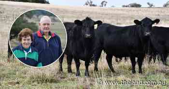New chapter for these producers as Angus operation swaps breeding for fattening