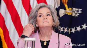 Susie Wiles on reported White House departure: 'I am not going anywhere'