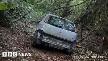 Cricket pitches damaged in 'joyriding' incident