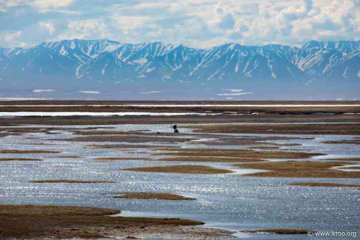 ANWR lease sale draws $3.7M in winning bids, but major oil and gas players stay home