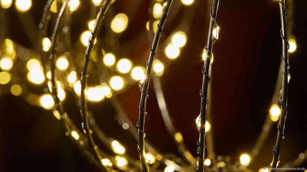 Next's 'beautiful' £35 garden lights make paths and flowerbeds 'glow'