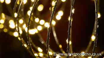 Next's 'beautiful' £35 garden lights make paths and flowerbeds 'glow'