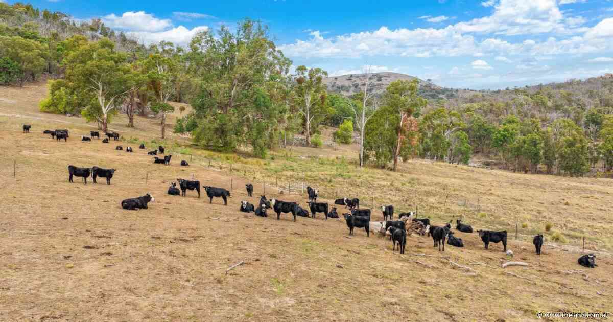 The Grange a versatile mix of gently undulating country and grazing hills