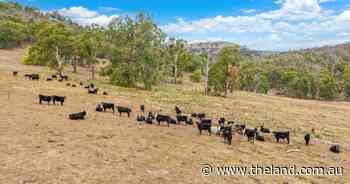 The Grange a versatile mix of gently undulating country and grazing hills