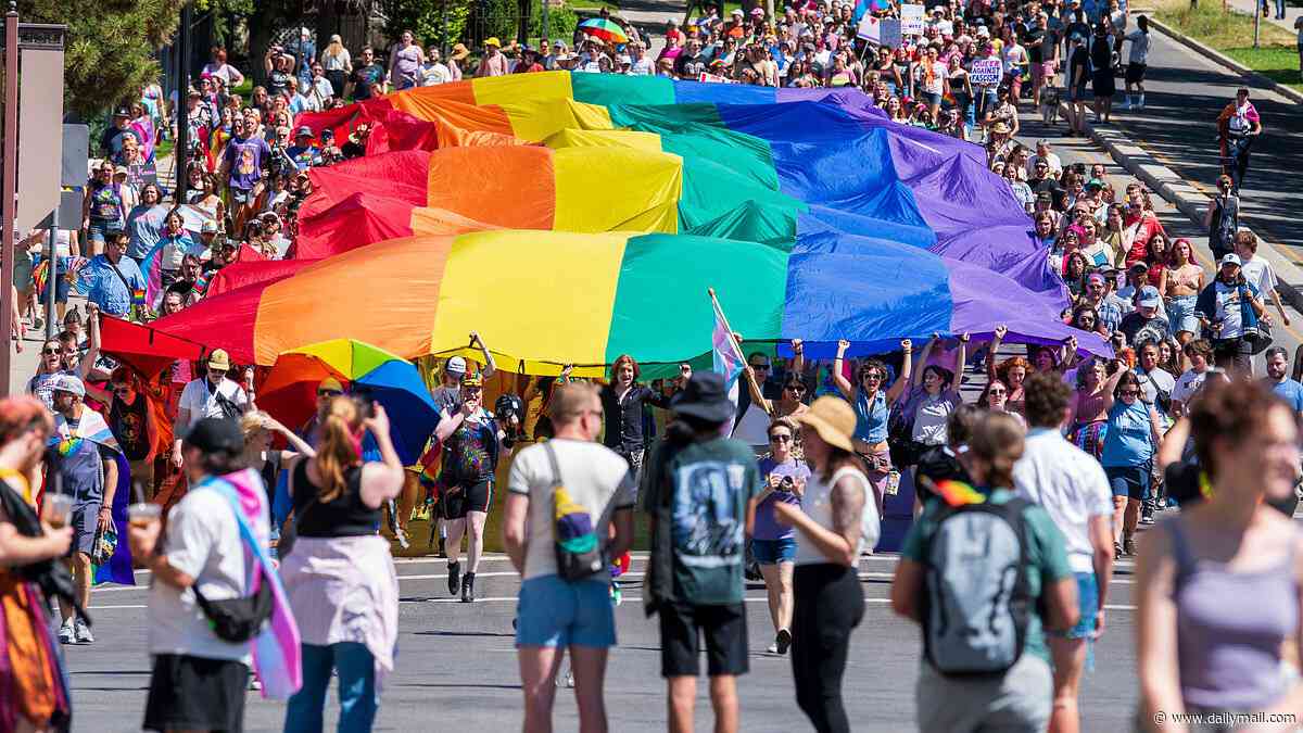 HelloFresh outrages internet with vulgar Pride Month campaign