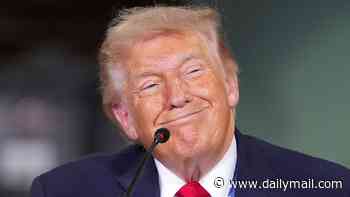 MAGA faces brutal warning over rampant advance of extraordinary new technology: 'It will decide the next election'
