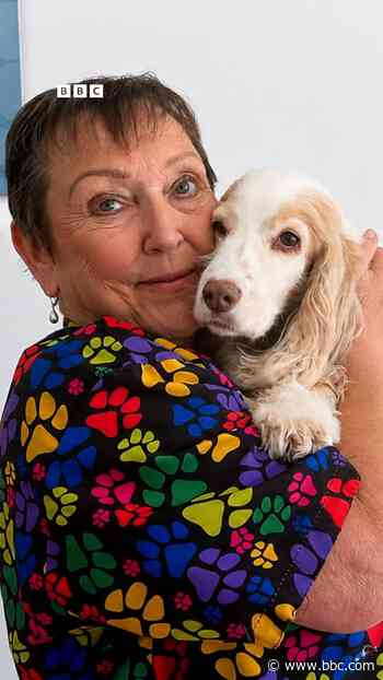 Dog grooming community helps groomer with cancer