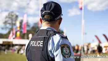 Canadian tourist, 28, brutally bashed by five strangers in a Byron Bay park