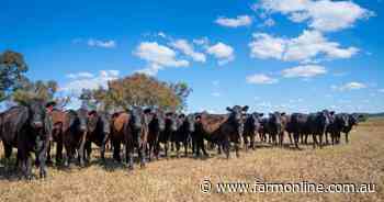 The China quota crunch: looming challenge for Australia's record beef trade