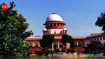 For deserting mom, man gets earful from Supreme Court