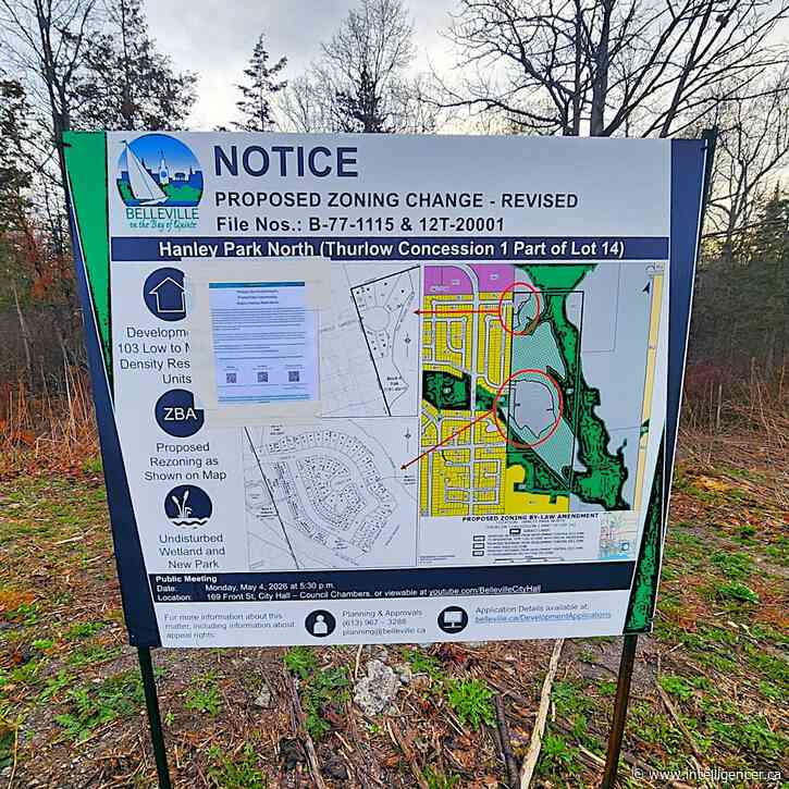 Belleville councillors ask for staff report on city acquiring Bell Creek wetlands