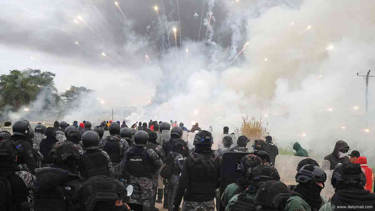 Terrified British backpackers are caught in Bolivian 'warzone' protests with demonstrators throwing DYNAMITE around them