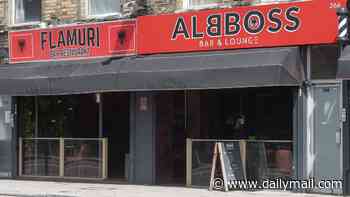 The famous North London high street taken over by 'dodgy' Albanian bars: Locals besieged by round-the-clock noise, crime and chaos as venues make their lives a misery