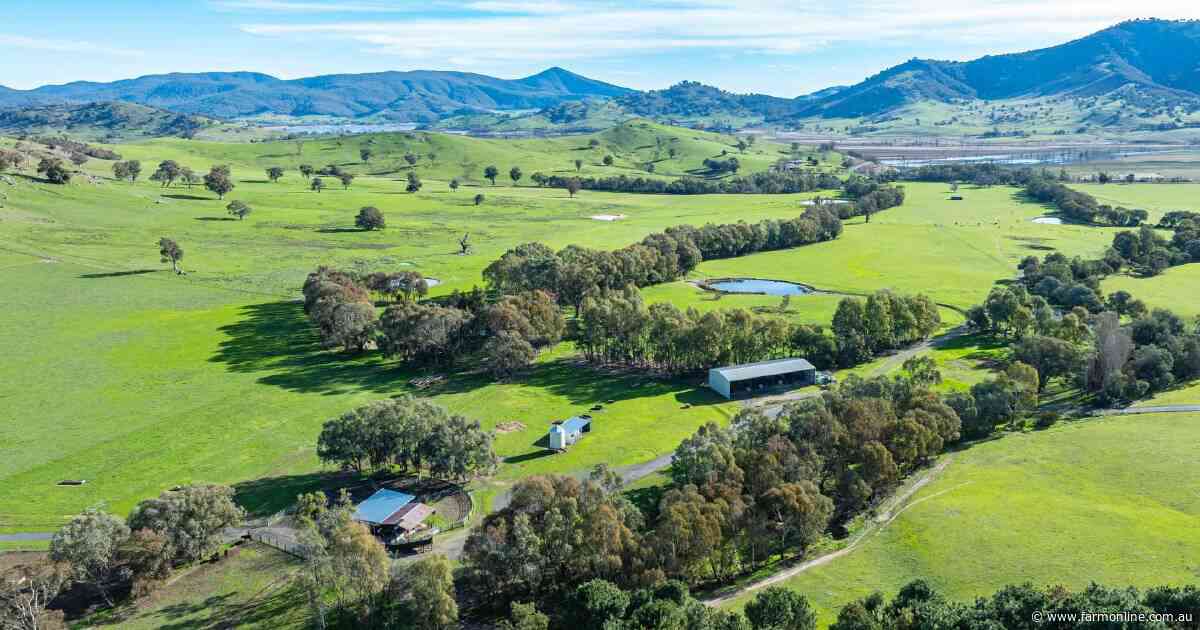 High rainfall pasture country in the tightly held Upper Murray region