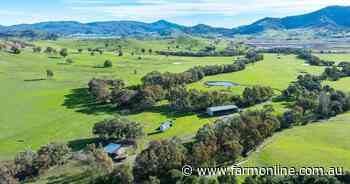 High rainfall pasture country in the tightly held Upper Murray region