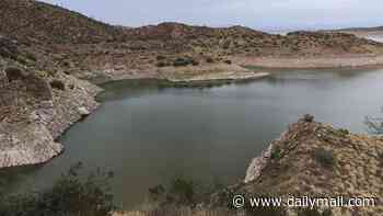 Popular Arizona lake forced to close after EVERY fish living in its waters dies