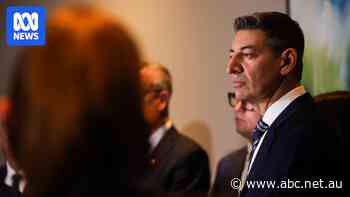 New leader, old problem for WA Liberals as Zempilas flirts with One Nation