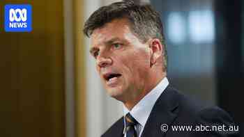 Live: Angus Taylor will not rule out One Nation preference deal