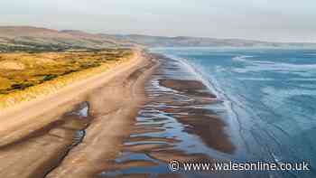 Beautiful Welsh campsite is next to one of UK's best beaches with sugar-soft sands