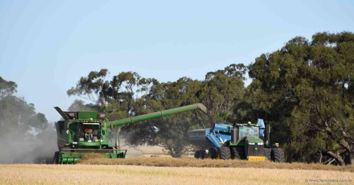 Canola sitting pretty at more than $800/t as global markets drive value up
