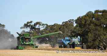 Canola sitting pretty at more than $800/t as global markets drive value up