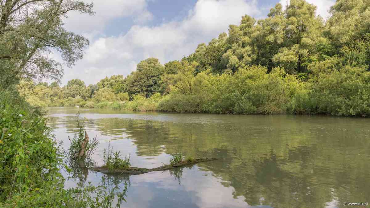 Herstel van natuur rond water stagneert, steeds minder vissen en libellen