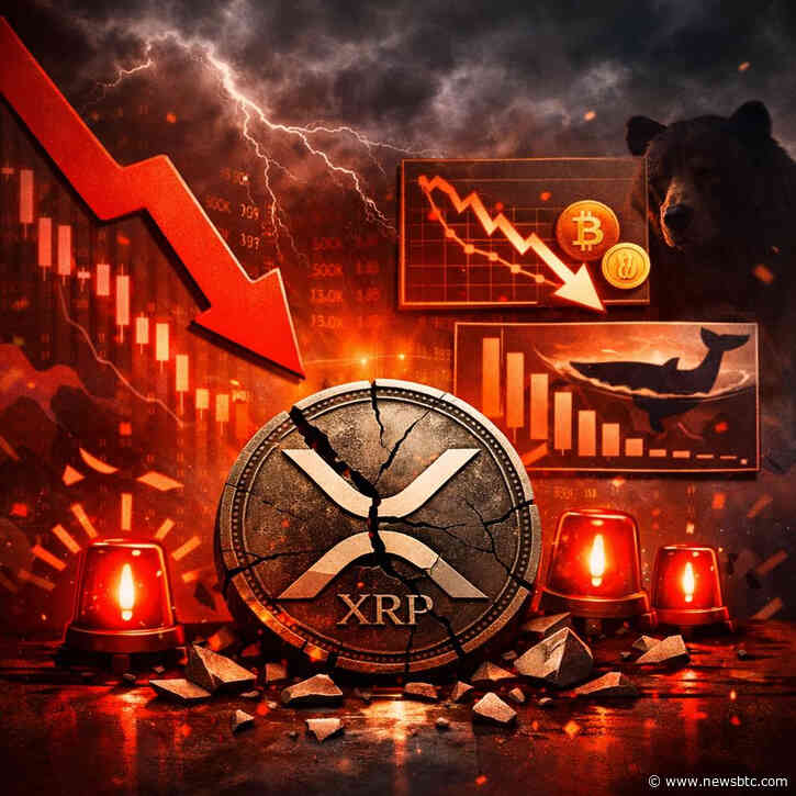 What’s Going Wrong With XRP? Expert Points To 2 Major Bearish Flips In These Key Metrics