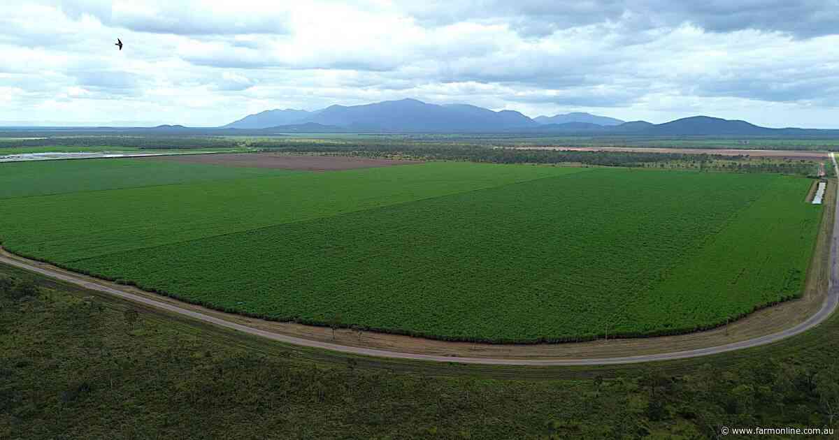 Corporates showing an increasing appetite for Qld's prized Burdekin region