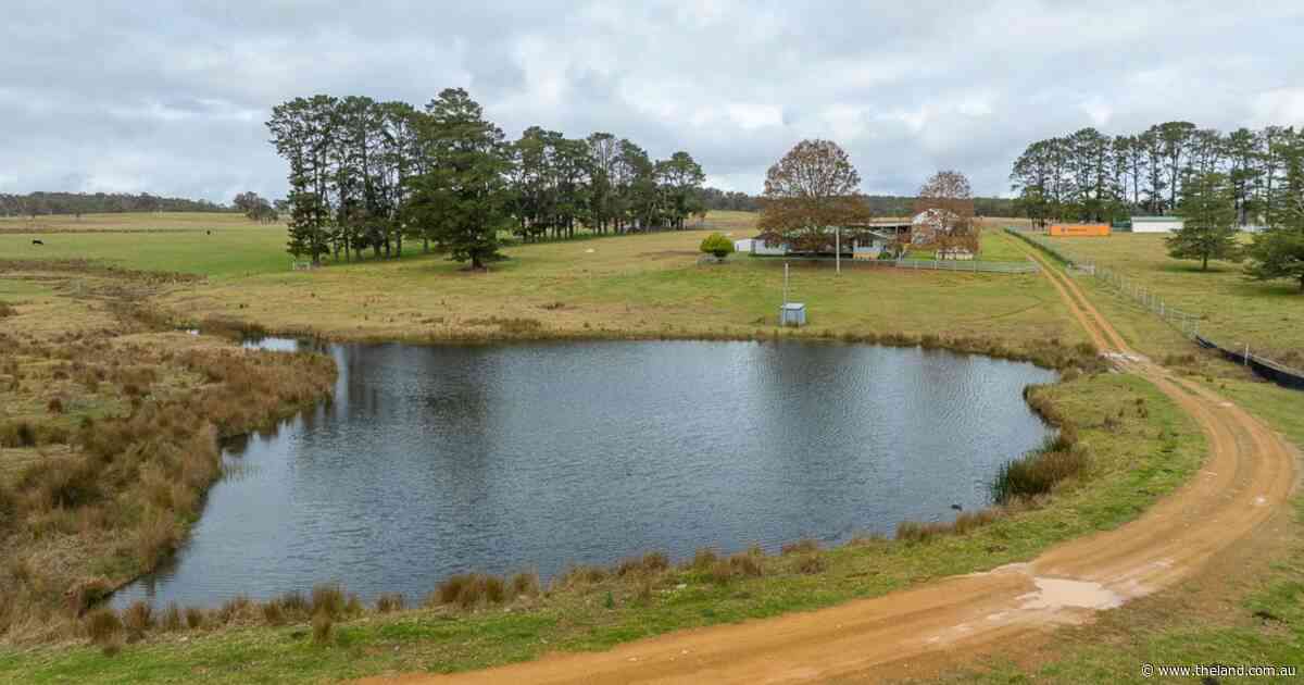 Camena a premier New England livestock opportunity with lifestyle | Video