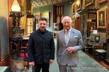 Prince Harry and King Charles Share Common Ground on Ukraine Despite Ongoing Royal Rift