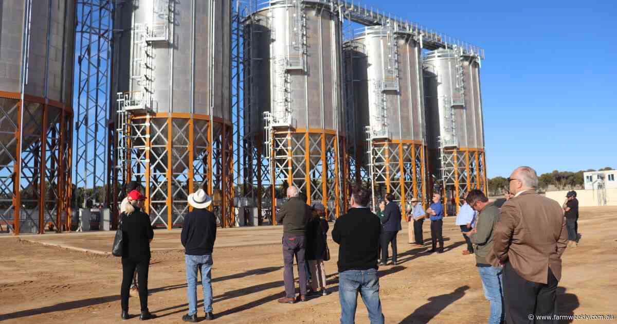 New grain 'marketplace' touts speed and quality for WA grain producers